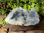 Natural Celestite Geode Specimen x 1 From Sakoany, Madagascar - Toprock Gemstones and Minerals 