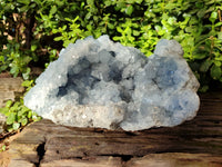 Natural Celestite Geode Specimen x 1 From Sakoany, Madagascar