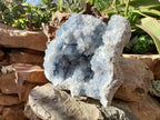 Natural Celestite Geode Specimen x 1 From Sakoany, Madagascar - Toprock Gemstones and Minerals 