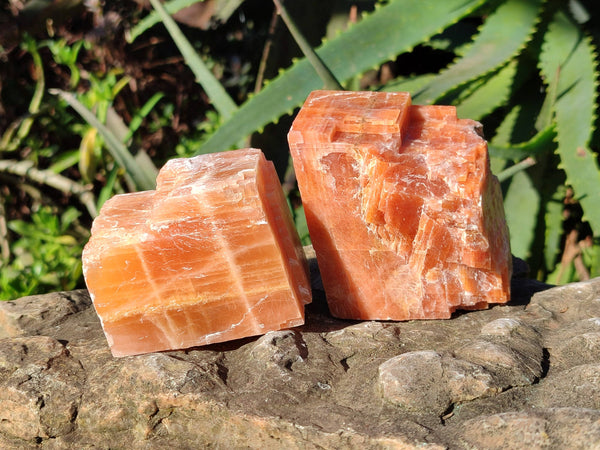 Natural Sunset Orange Calcite Specimens x 6 From Spitzkop, Namibia