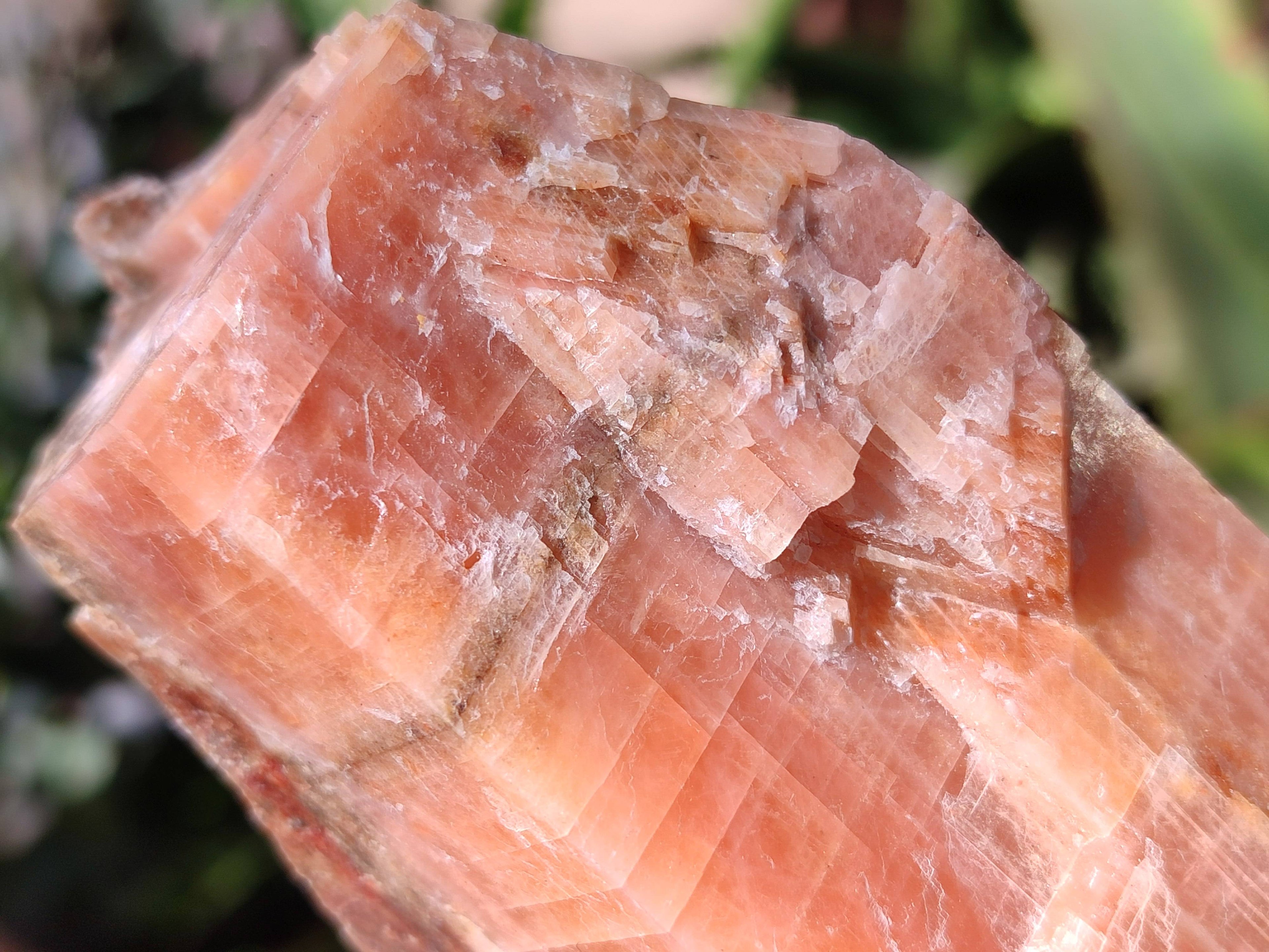 Natural Sunset Orange Calcite Specimens x 6 From Spitzkop, Namibia - Toprock Gemstones and Minerals 