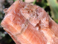 Natural Sunset Orange Calcite Specimens x 6 From Spitzkop, Namibia