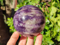 Polished Lepidolite Spheres x 2 From Ambatondrazaka, Madagascar