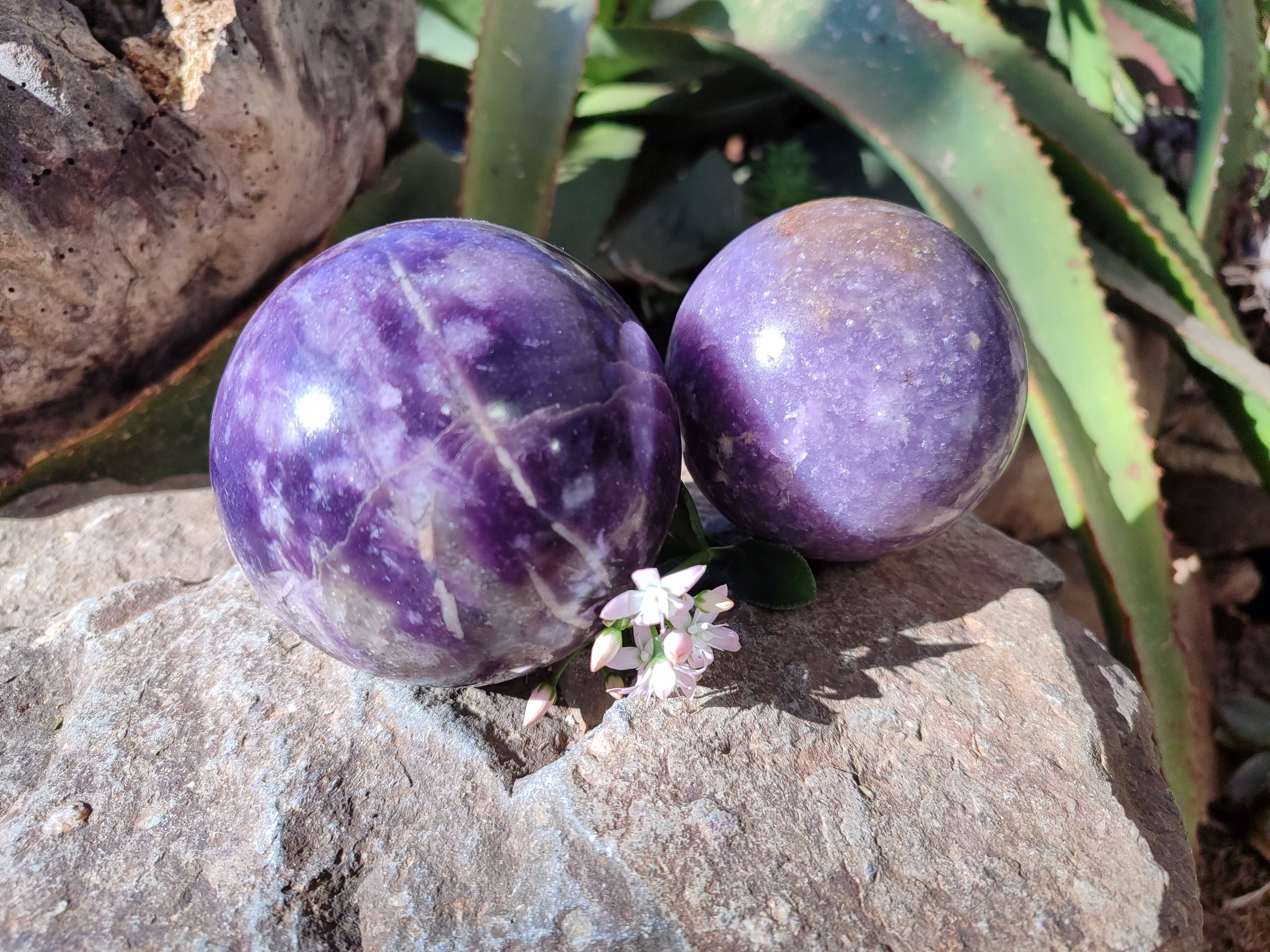 Polished Lepidolite Spheres x 2 From Ambatondrazaka, Madagascar - Toprock Gemstones and Minerals 