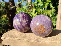 Polished Lepidolite Spheres x 2 From Ambatondrazaka, Madagascar