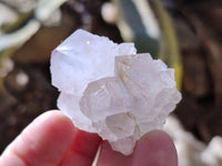 Natural Spirit Quartz Crystals x 20 From Boekenhouthoek, South Africa