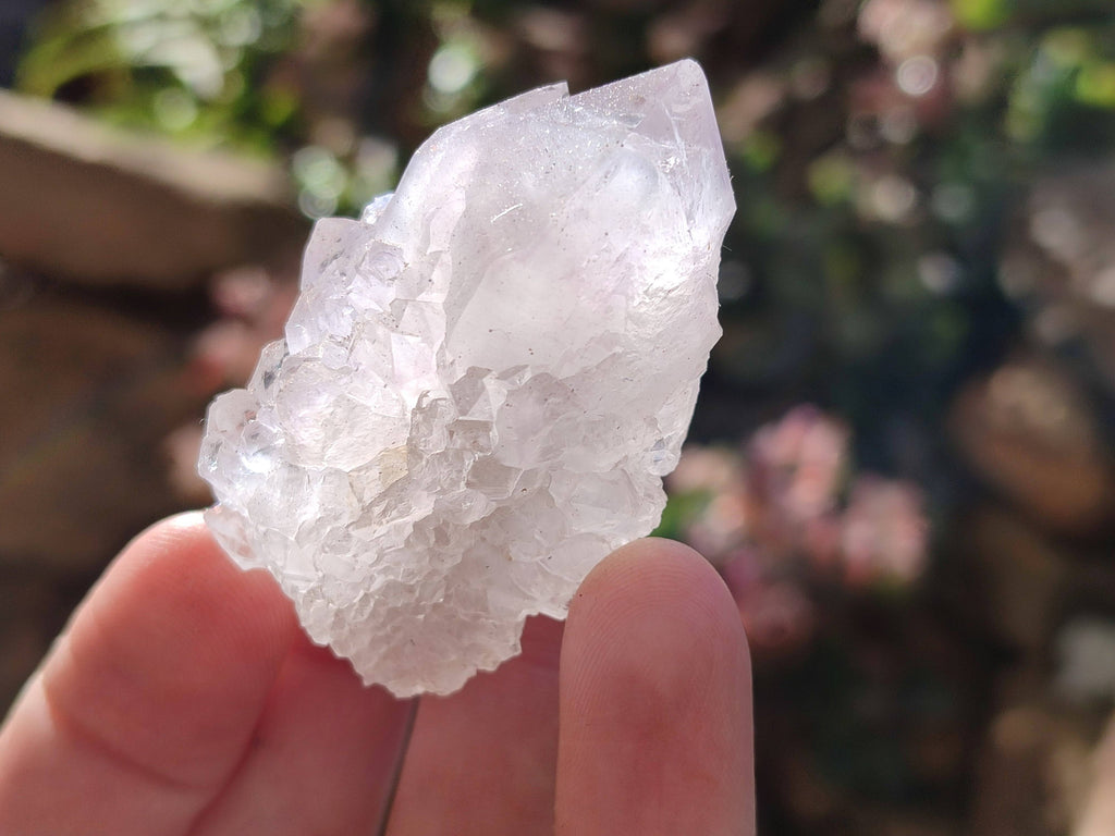 Natural Spirit Quartz Crystals x 20 From Boekenhouthoek, South Africa - Toprock Gemstones and Minerals 