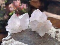 Natural Spirit Quartz Crystals x 20 From Boekenhouthoek, South Africa