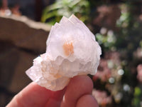 Natural Spirit Quartz Crystals x 20 From Boekenhouthoek, South Africa