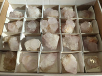 Natural Spirit Quartz Crystals x 20 From Boekenhouthoek, South Africa