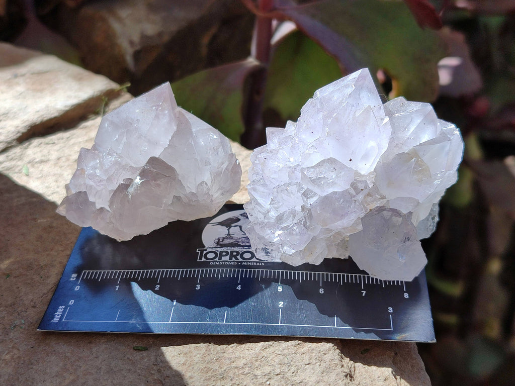 Natural Spirit Quartz Crystals x 20 From Boekenhouthoek, South Africa - Toprock Gemstones and Minerals 