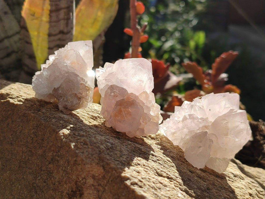 Natural Spirit Quartz Crystals x 20 From Boekenhouthoek, South Africa - Toprock Gemstones and Minerals 