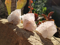 Natural Spirit Quartz Crystals x 20 From Boekenhouthoek, South Africa