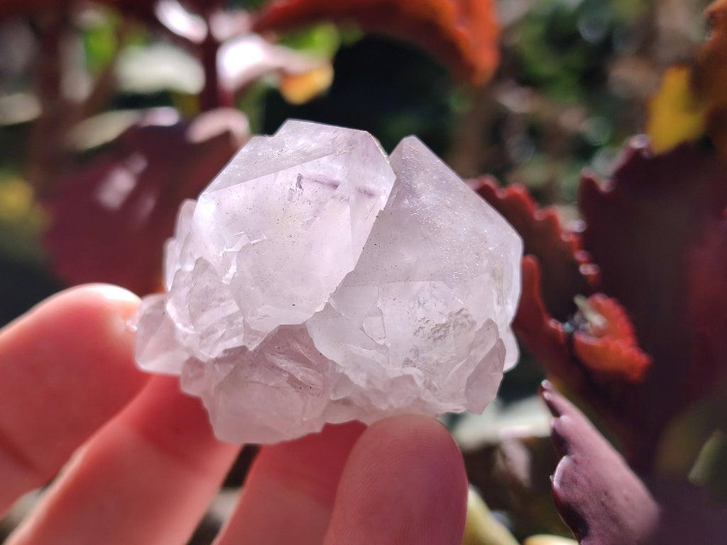 Natural Spirit Quartz Crystals x 20 From Boekenhouthoek, South Africa - Toprock Gemstones and Minerals 