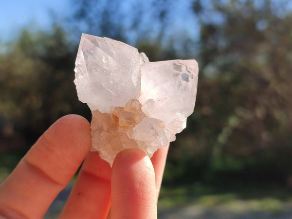 Natural Spirit Quartz Crystals x 20 From Boekenhouthoek, South Africa