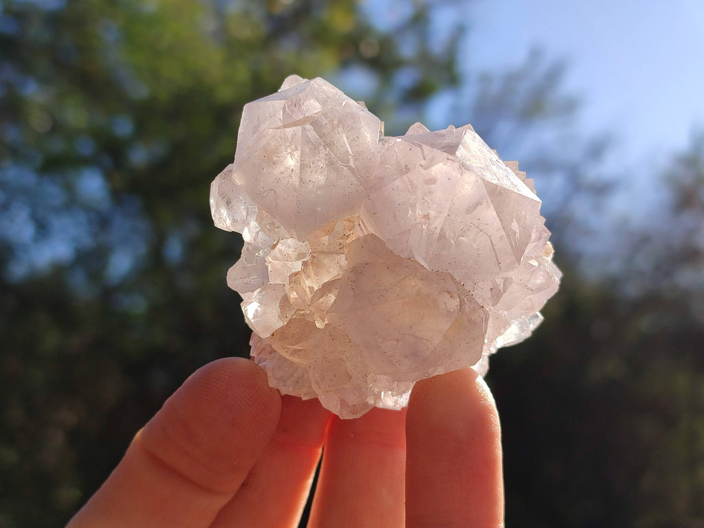 Natural Spirit Quartz Crystals x 20 From Boekenhouthoek, South Africa - Toprock Gemstones and Minerals 