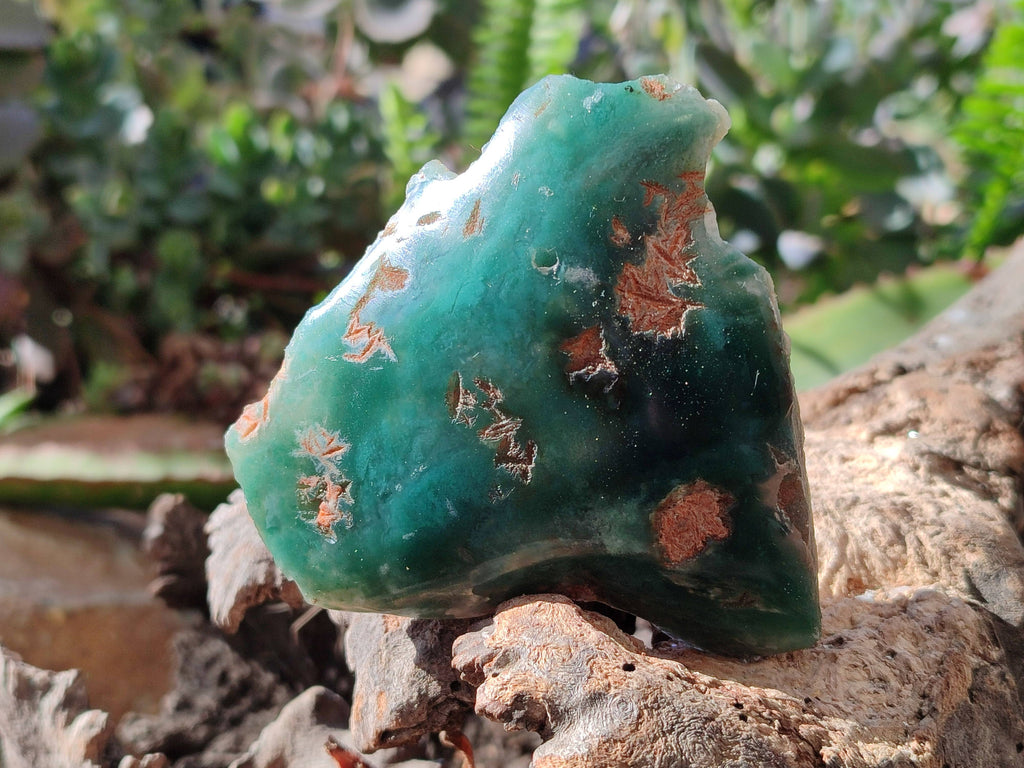 Polished On One Side Emerald Mtorolite x 12 From Mutorashanga, Zimbabwe - Toprock Gemstones and Minerals 