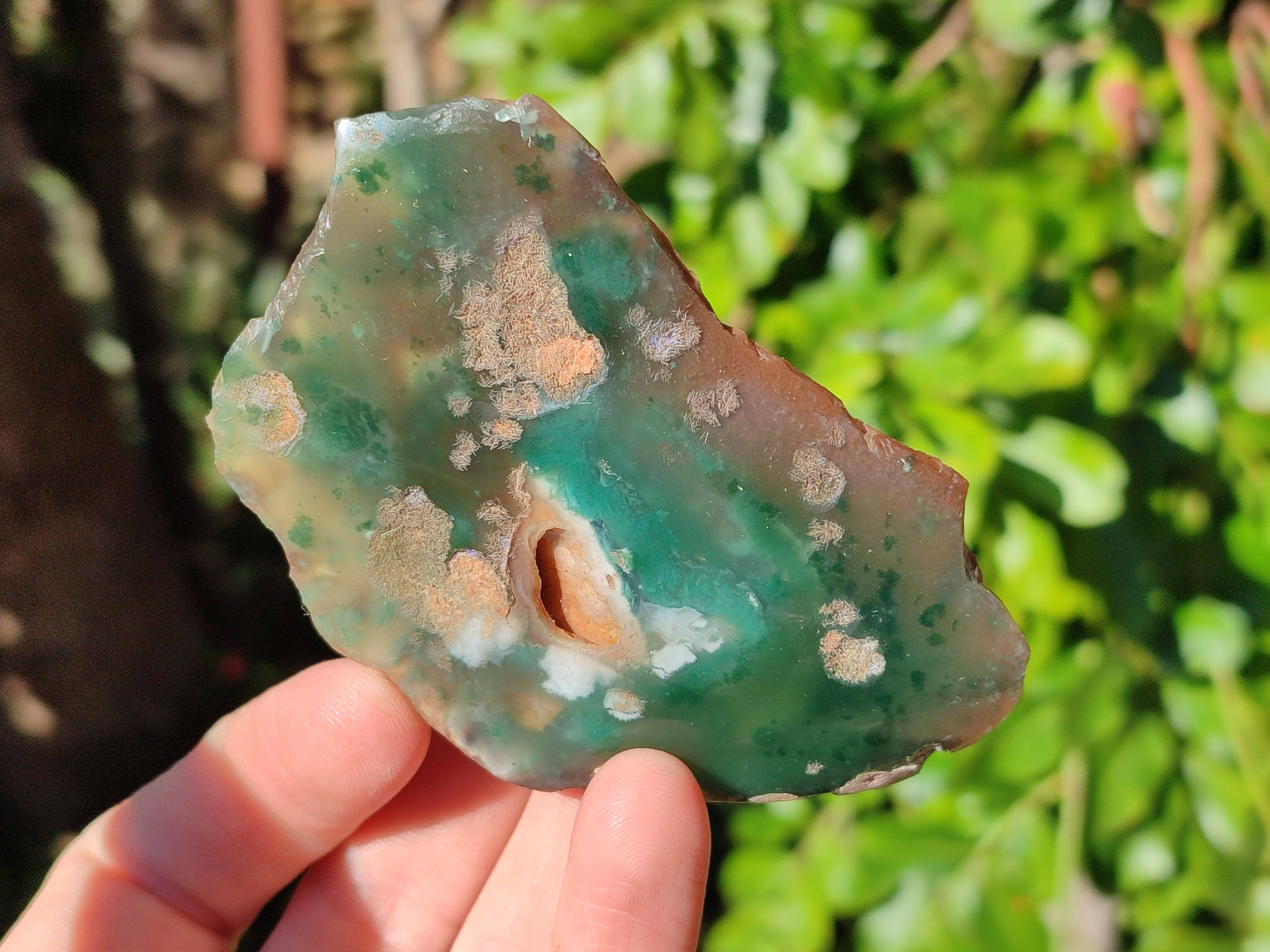 Polished On One Side Emerald Mtorolite x 12 From Mutorashanga, Zimbabwe - Toprock Gemstones and Minerals 