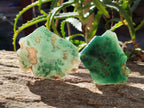 Polished On One Side Emerald Mtorolite x 12 From Mutorashanga, Zimbabwe - Toprock Gemstones and Minerals 