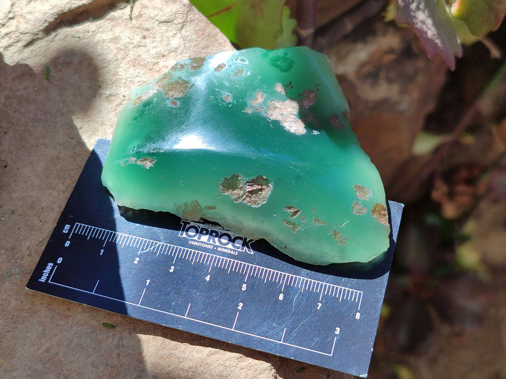 Polished On One Side Emerald Mtorolite x 12 From Mutorashanga, Zimbabwe - Toprock Gemstones and Minerals 