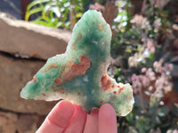 Polished On One Side Emerald Mtorolite x 12 From Mutorashanga, Zimbabwe