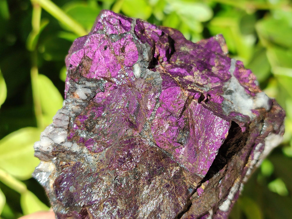 Natural Metallic Purpurite Specimens x 6 From Erongo, Namibia - Toprock Gemstones and Minerals 