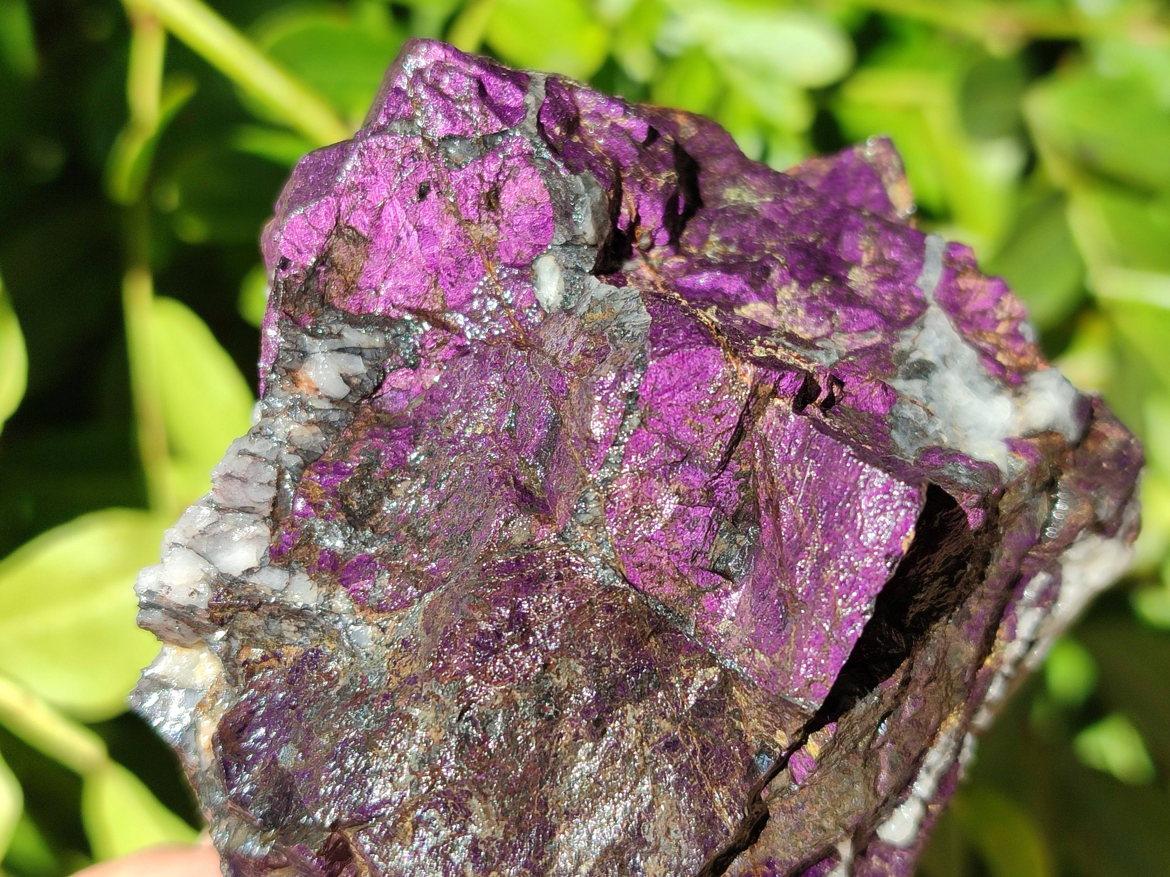 Natural Metallic Purpurite Specimens x 6 From Erongo, Namibia - Toprock Gemstones and Minerals 