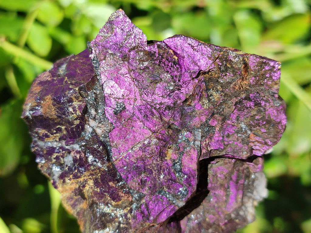 Natural Metallic Purpurite Specimens x 6 From Erongo, Namibia - Toprock Gemstones and Minerals 