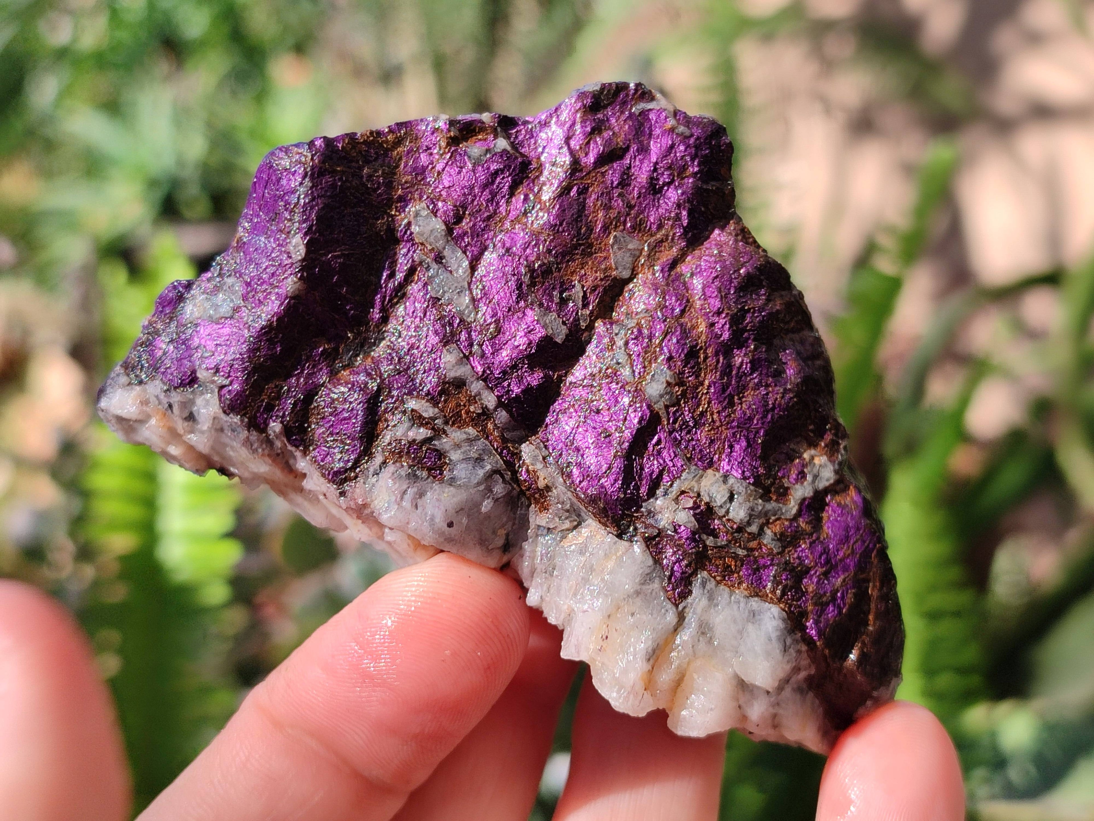 Natural Metallic Purpurite Specimens x 6 From Erongo, Namibia - Toprock Gemstones and Minerals 