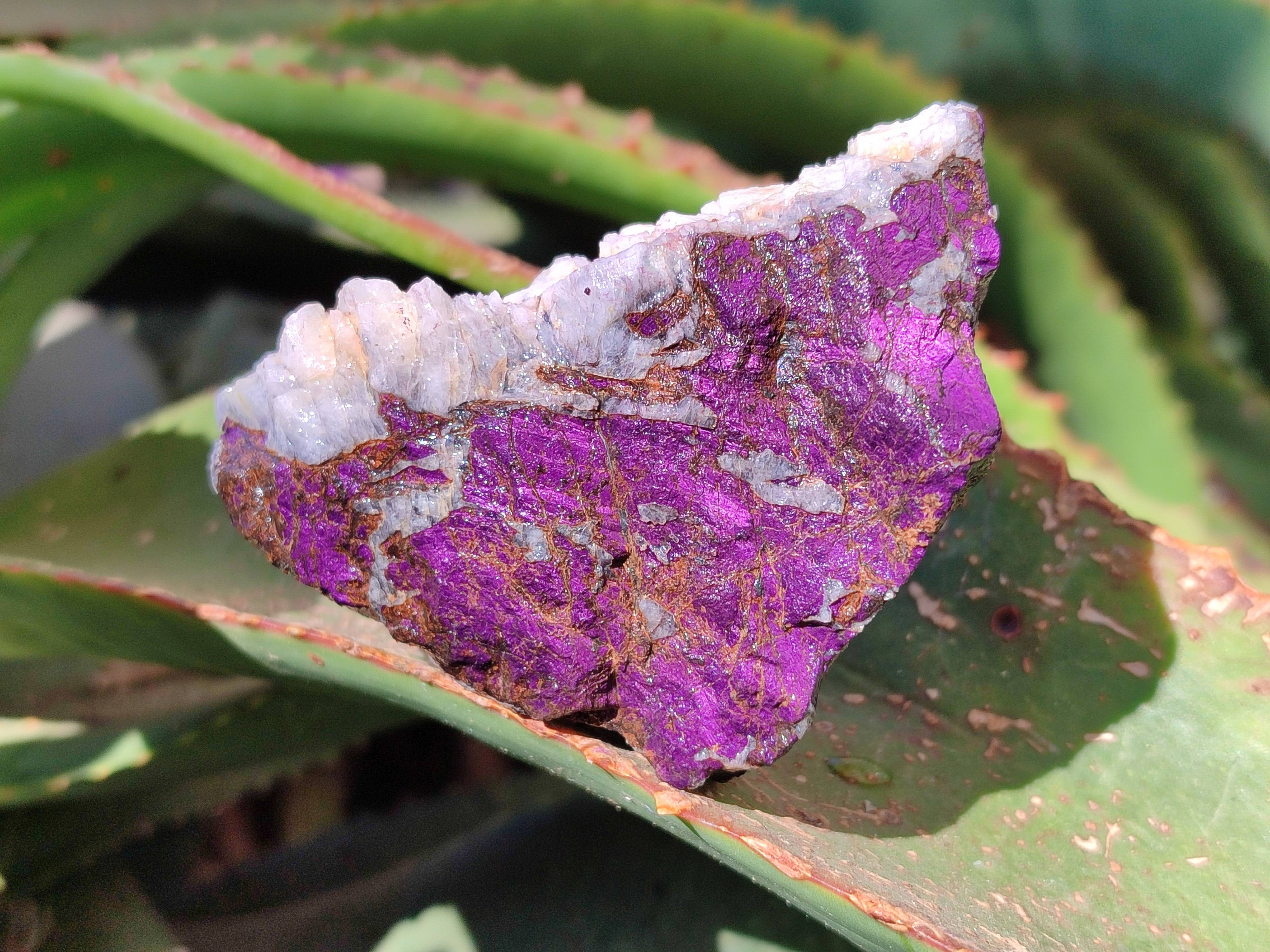 Natural Metallic Purpurite Specimens x 6 From Erongo, Namibia - Toprock Gemstones and Minerals 