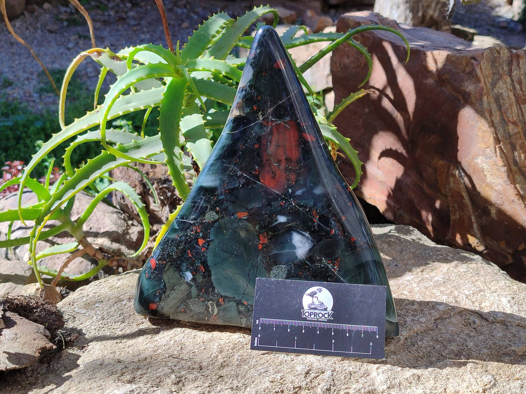 Polished Bloodstone Standing Free Form x 1 From Swaziland - Toprock Gemstones and Minerals 