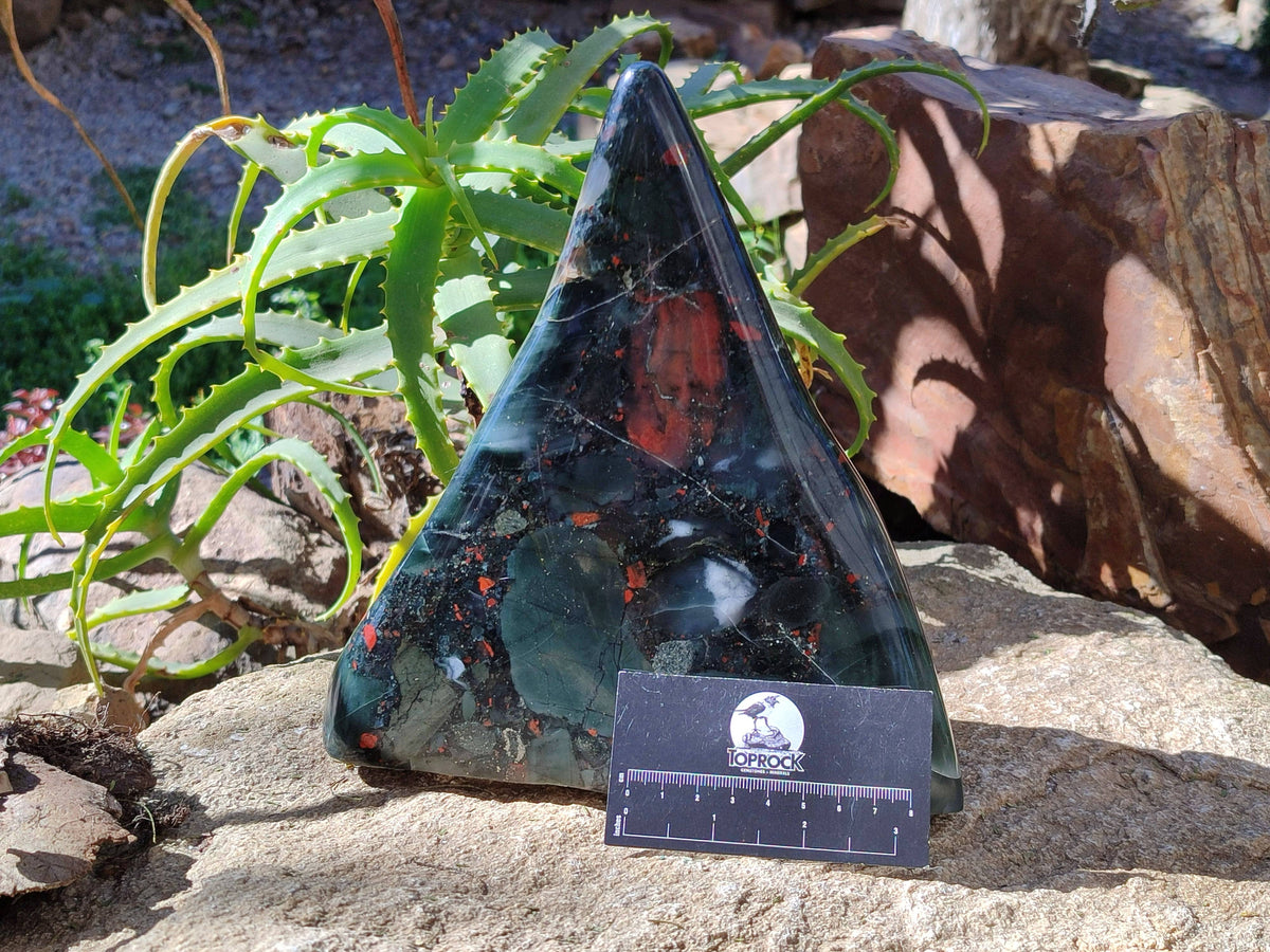 Polished Bloodstone Standing Free Form x 1 From Swaziland - Toprock Gemstones and Minerals 