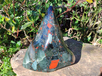 Polished Bloodstone Standing Free Form x 1 From Swaziland