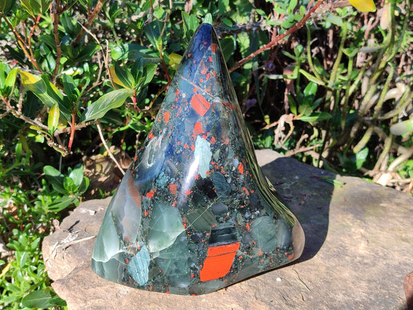 Polished Bloodstone Standing Free Form x 1 From Swaziland