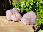 Natural Amethyst Spirit Quartz Clusters x 6 From Boekenhouthoek, South Africa - Toprock Gemstones and Minerals 