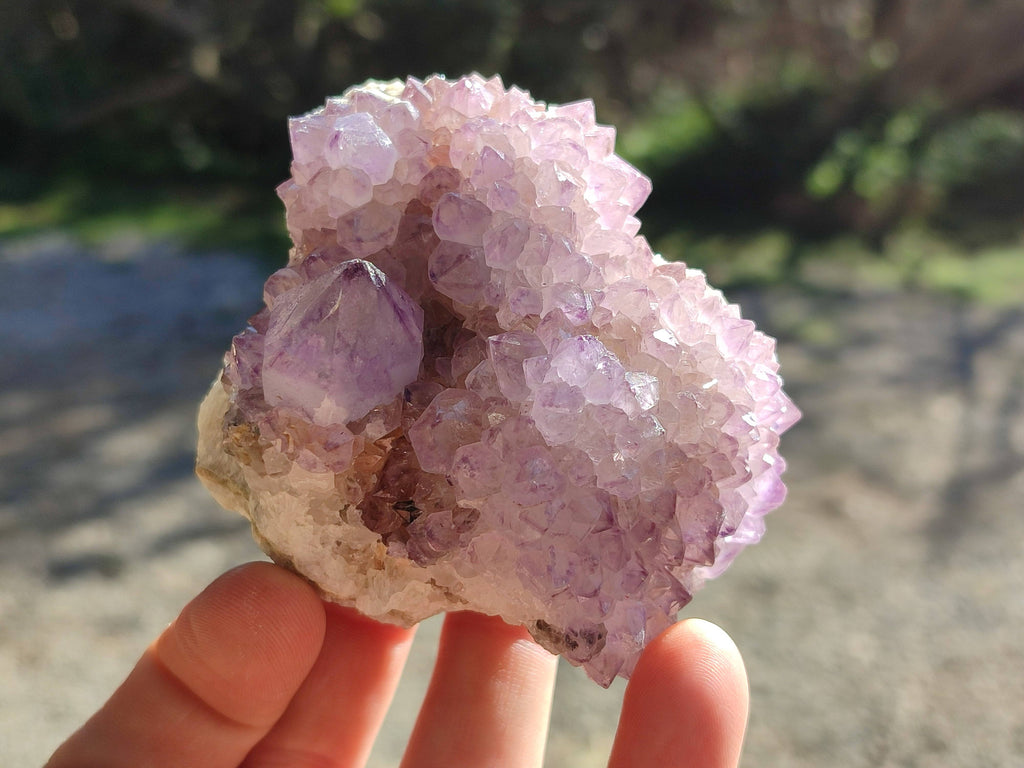 Natural Amethyst Spirit Quartz Clusters x 6 From Boekenhouthoek, South Africa - Toprock Gemstones and Minerals 