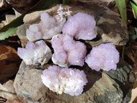 Natural Amethyst Spirit Quartz Clusters x 6 From Boekenhouthoek, South Africa