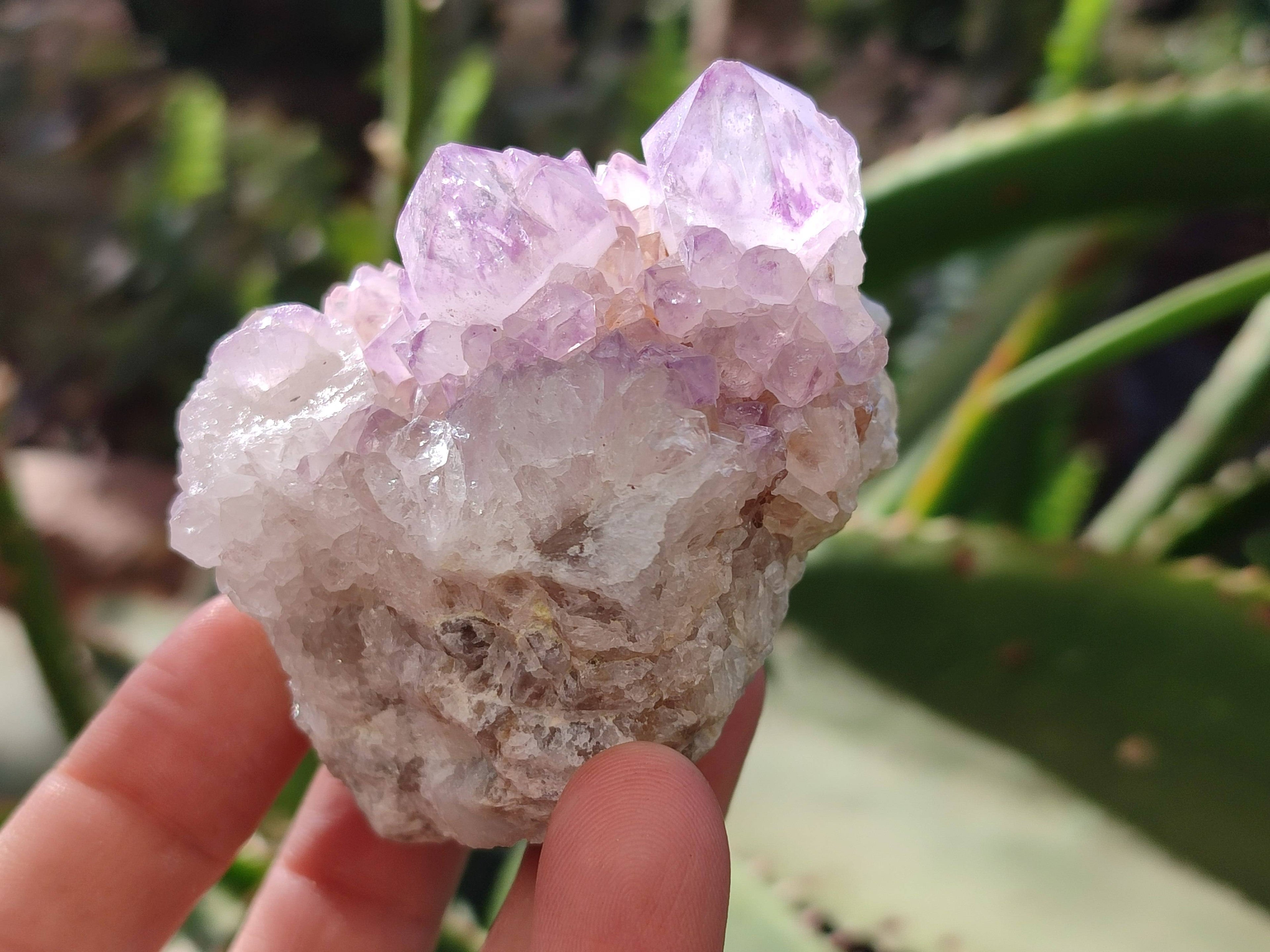 Natural Amethyst Spirit Quartz Clusters x 6 From Boekenhouthoek, South Africa - Toprock Gemstones and Minerals 