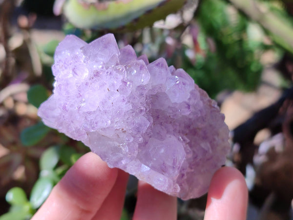 Natural Amethyst Spirit Quartz Clusters x 6 From Boekenhouthoek, South Africa