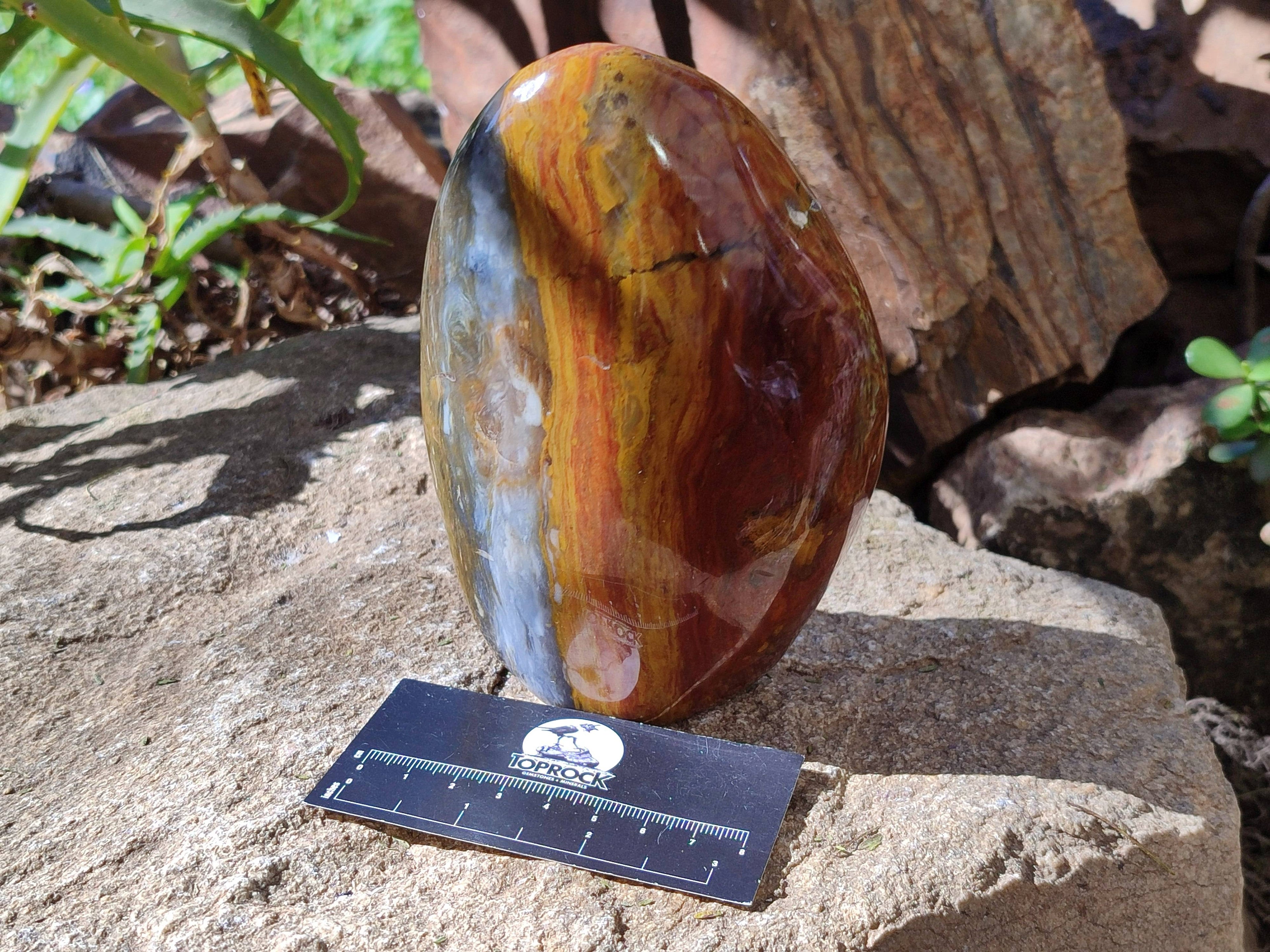 Polished Ocean Jasper Standing Free Forms x 2 From Madagascar - Toprock Gemstones and Minerals 