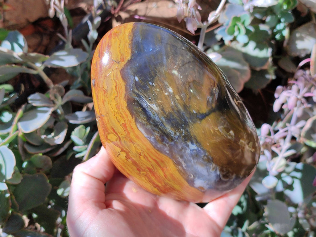 Polished Ocean Jasper Standing Free Forms x 2 From Madagascar - Toprock Gemstones and Minerals 