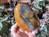 Polished Ocean Jasper Standing Free Forms x 2 From Madagascar