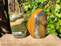 Polished Ocean Jasper Standing Free Forms x 2 From Madagascar - Toprock Gemstones and Minerals 