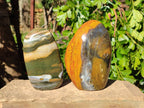 Polished Ocean Jasper Standing Free Forms x 2 From Madagascar - Toprock Gemstones and Minerals 