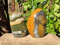 Polished Ocean Jasper Standing Free Forms x 2 From Madagascar