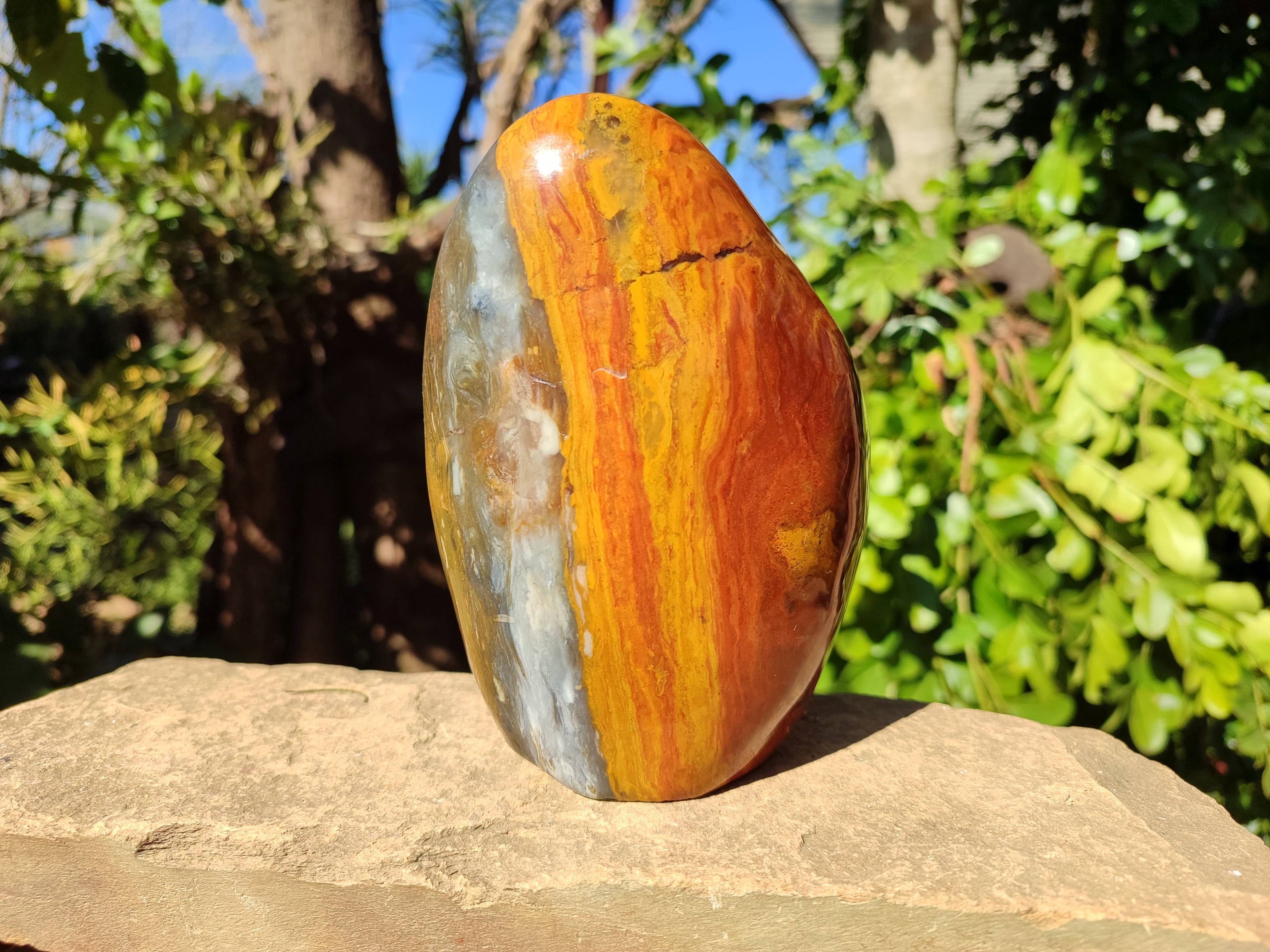 Polished Ocean Jasper Standing Free Forms x 2 From Madagascar - Toprock Gemstones and Minerals 