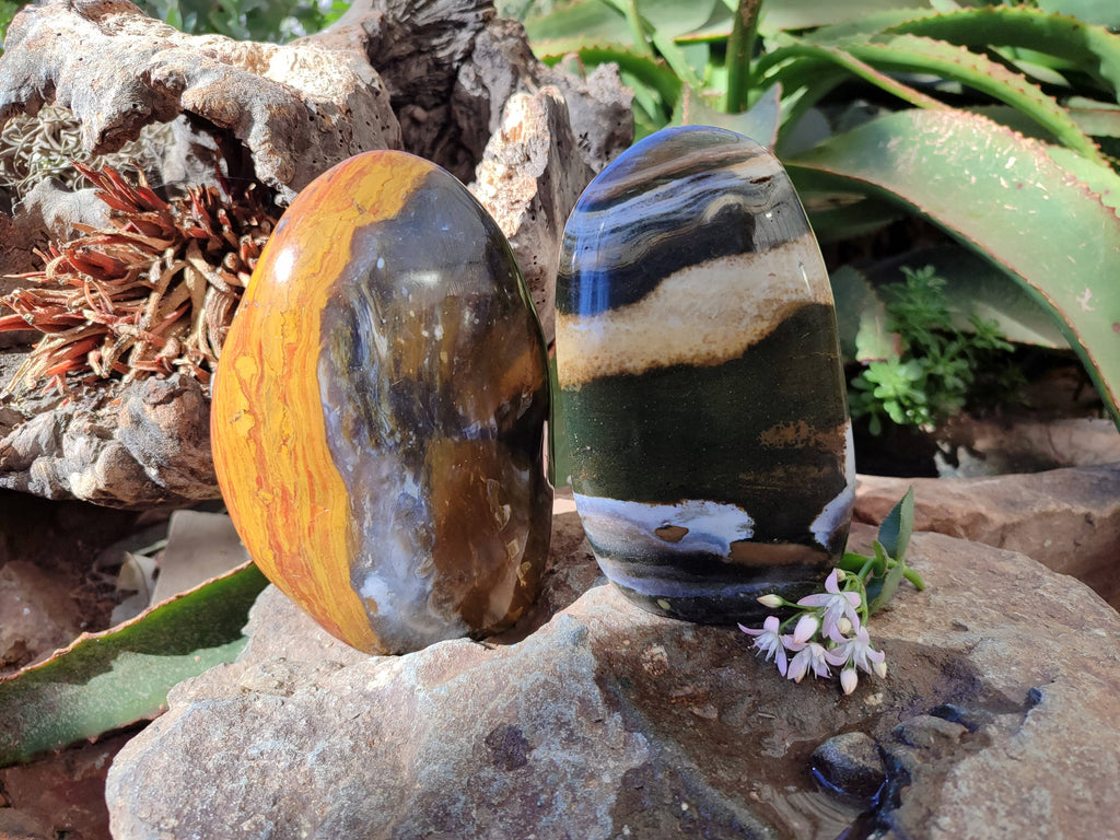 Polished Ocean Jasper Standing Free Forms x 2 From Madagascar - Toprock Gemstones and Minerals 