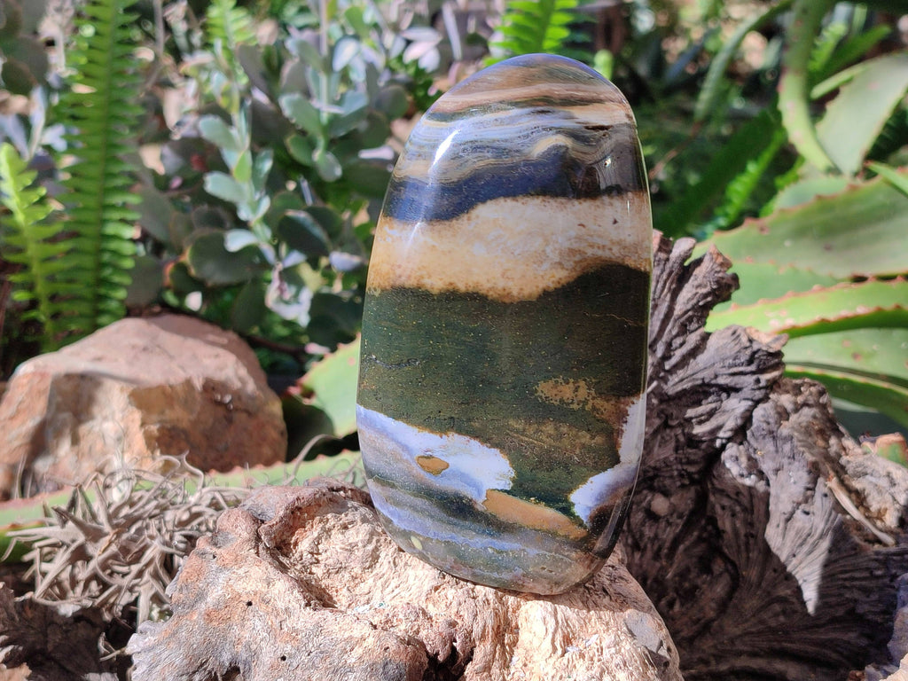 Polished Ocean Jasper Standing Free Forms x 2 From Madagascar - Toprock Gemstones and Minerals 