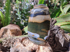 Polished Ocean Jasper Standing Free Forms x 2 From Madagascar - Toprock Gemstones and Minerals 