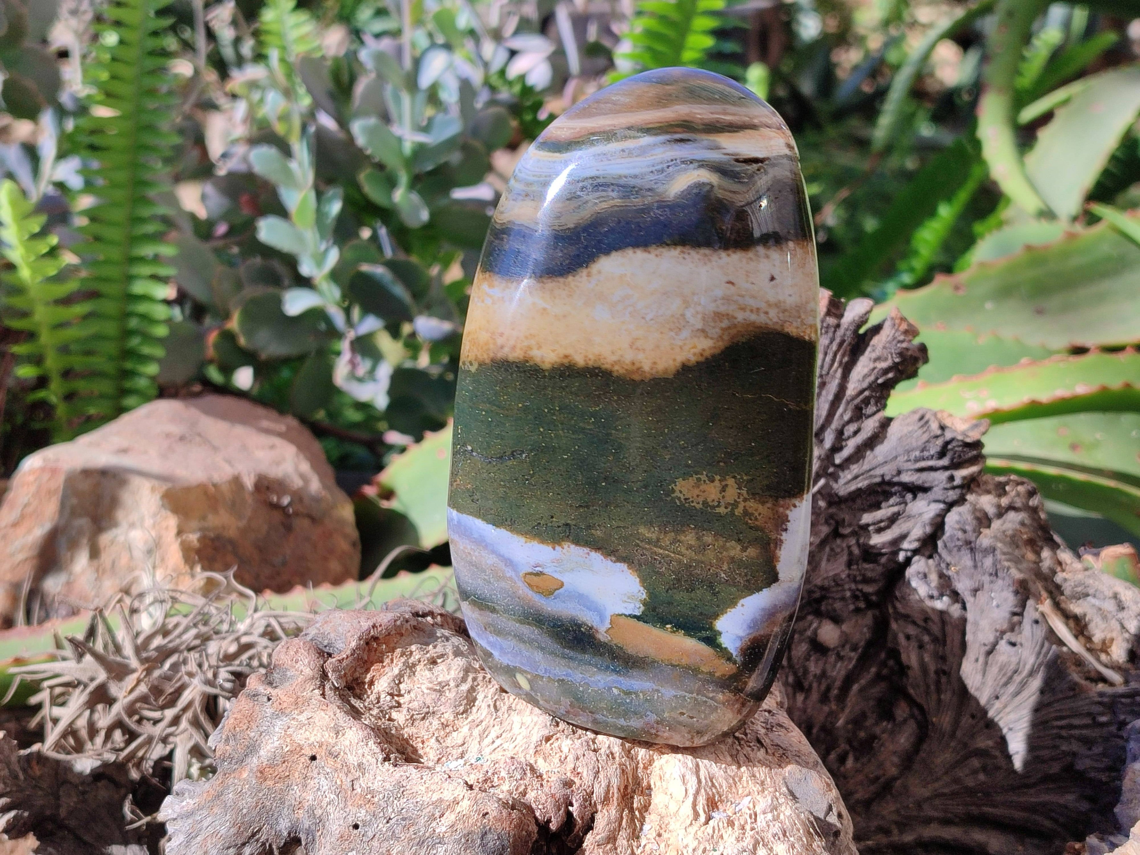 Polished Ocean Jasper Standing Free Forms x 2 From Madagascar - Toprock Gemstones and Minerals 